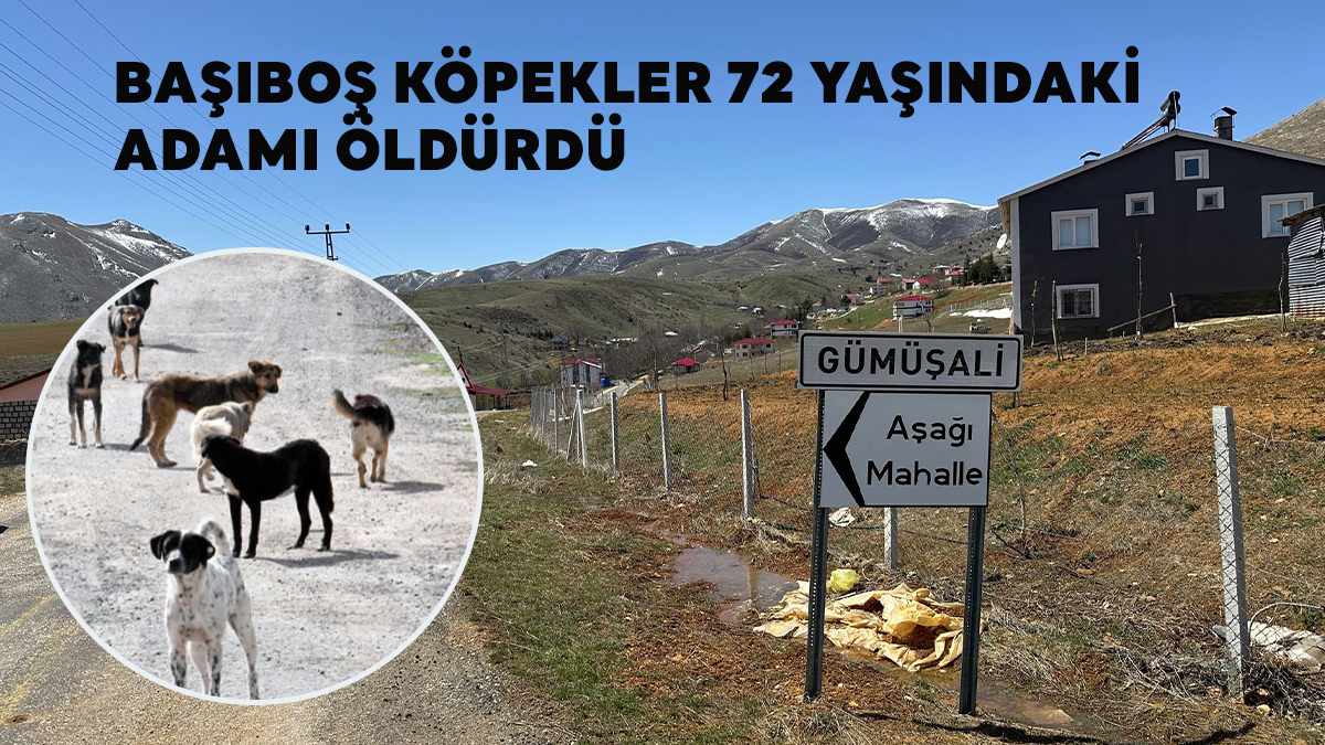 Sahipsiz Köpekler 72 Yaşındaki Adamı Öldürdü