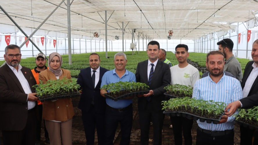 Urfa Topraklarında Ata Tohumu Yeniden Yeşeriyor!