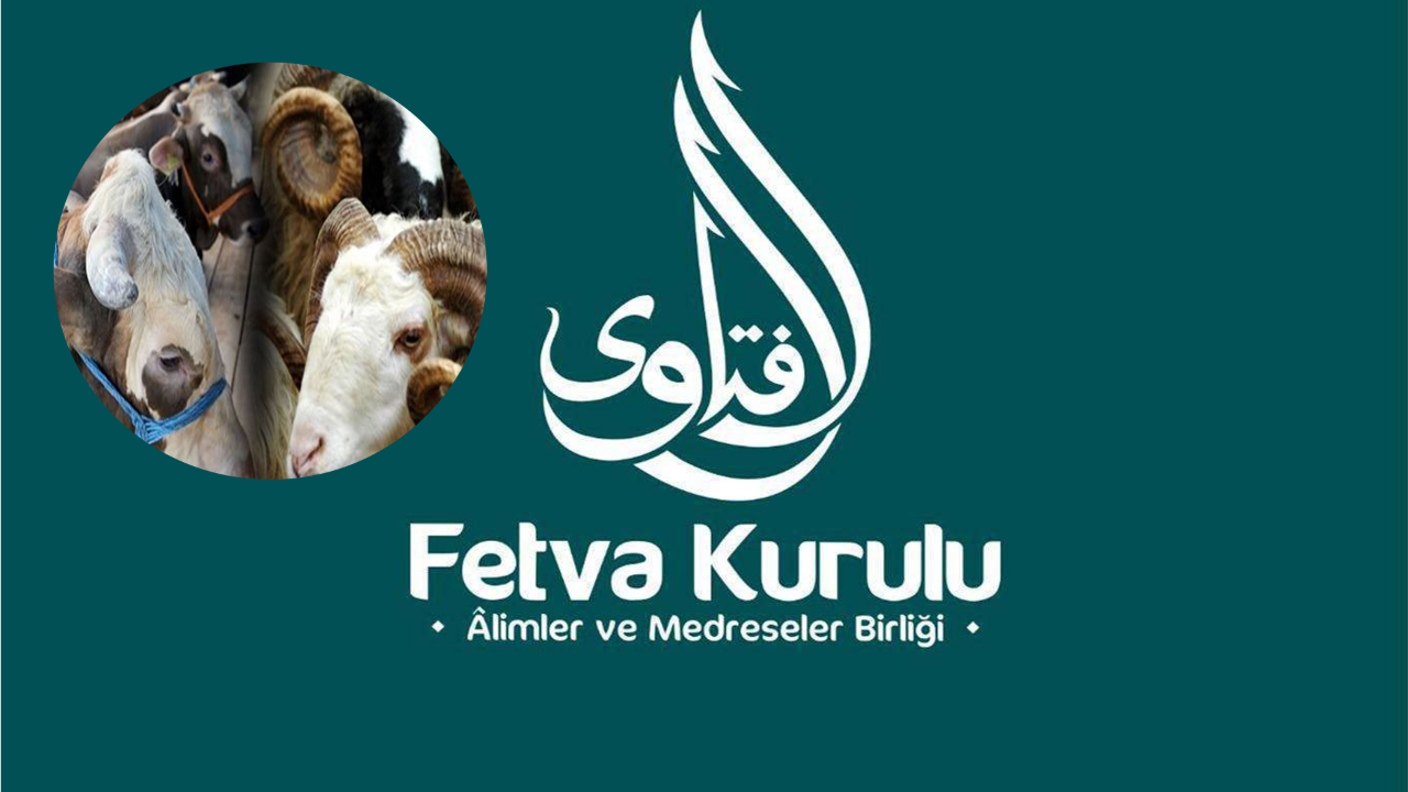 Kurbanlık Hayvanların Yaşlarıyla İlgili Fetva...