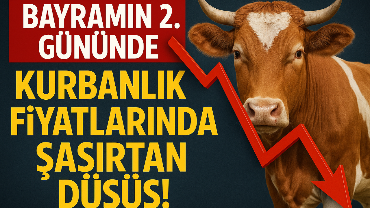 Bayramın 2. Gününde Kurbanlık Fiyatlarında Şaşırtan Düşüş!