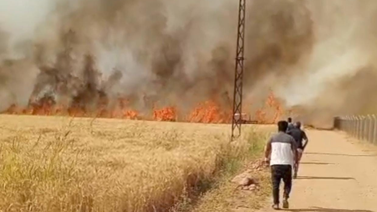 Harran Ovası'nda 40 Dönüm Ekili Arazi Kül Oldu !