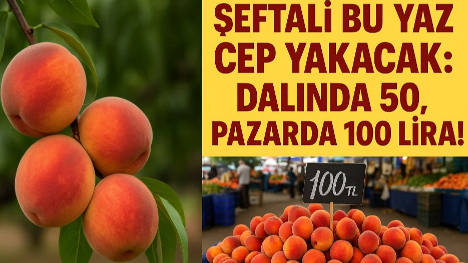 Şeftali Bu Yaz Cep Yakacak!