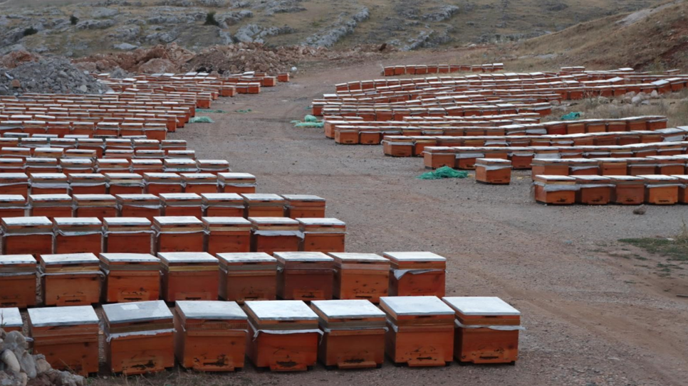 Adıyaman Arıcıları 2025 Bal Fiyatlarını Duyurdu