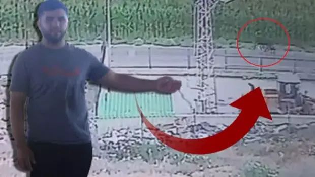 Sahibi Uyardı: 'Gören Olursa Hemen Kaçsınlar!'