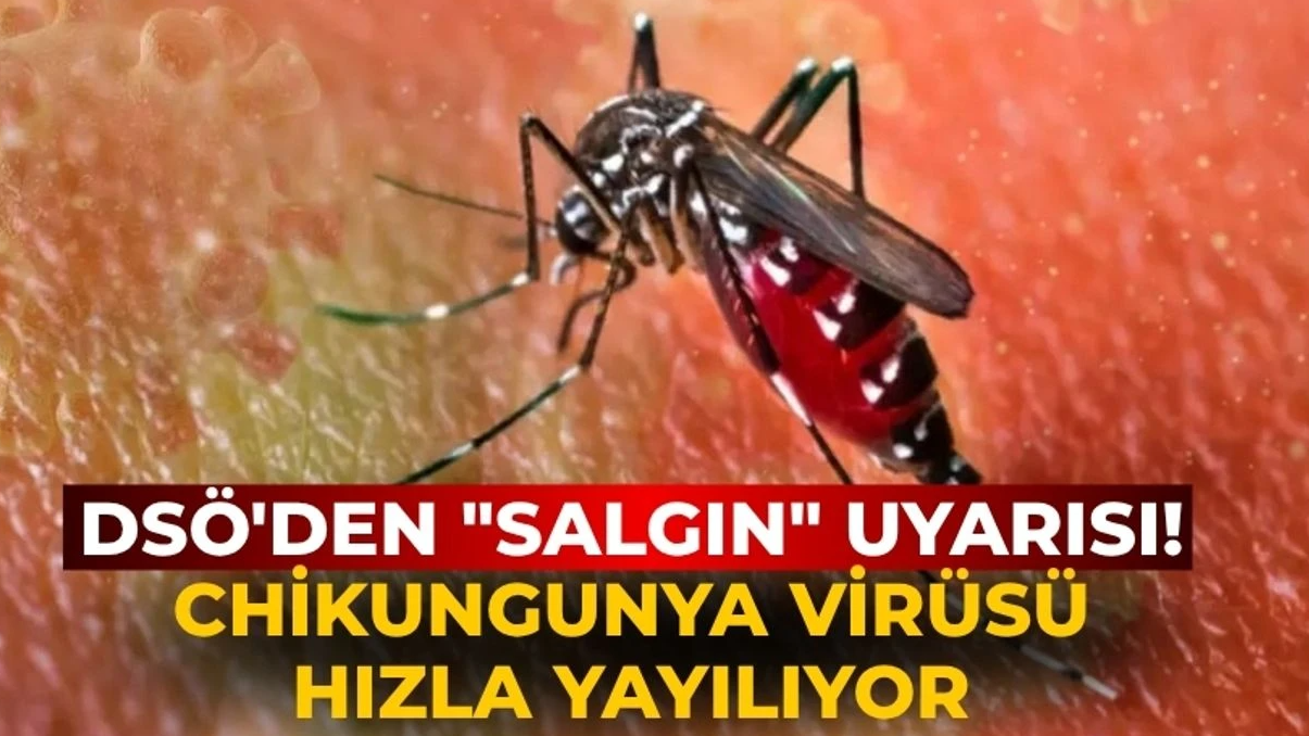 Yeni Salgın Kapıda: 5.6 Milyar Kişi Riskte!