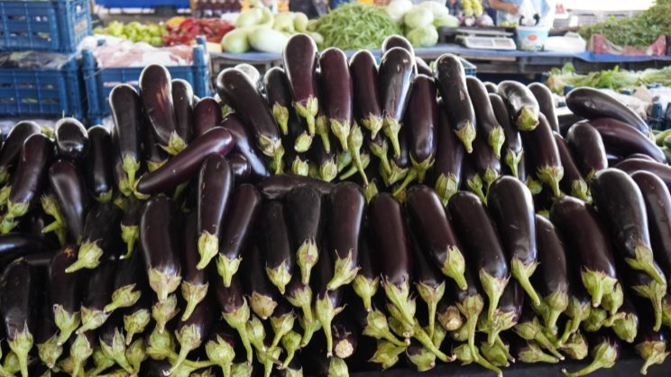 Urfa’nın İncisi Birecik Balcanı Lezzetiyle Büyülüyor!