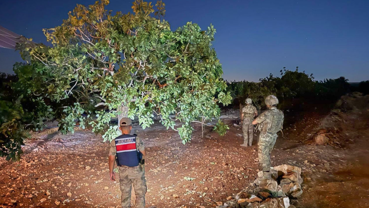 Şanlıurfa'da Jandarma Fıstık Nöbetine Başladı