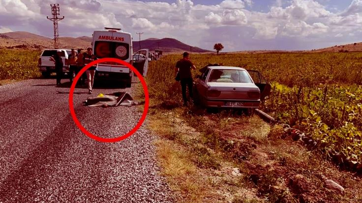 Cani Komşu Pusu Kurdu: Kardeşler Katledildi!