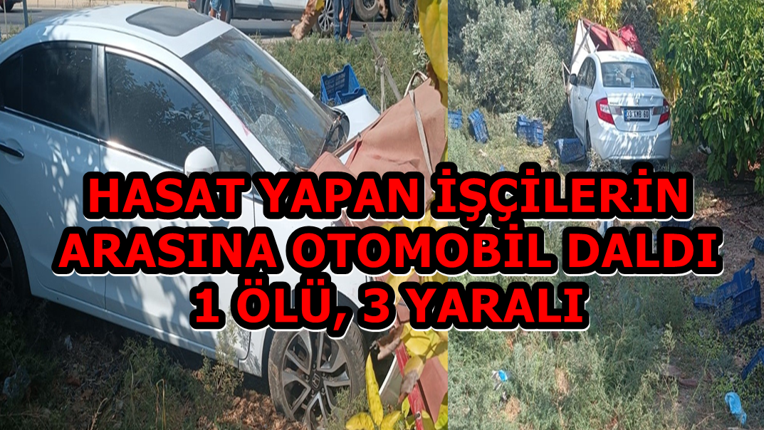 Hasat Yapan İşçilerin Arasına Otomobil Daldı:1 Ölü, 3 Yaralı