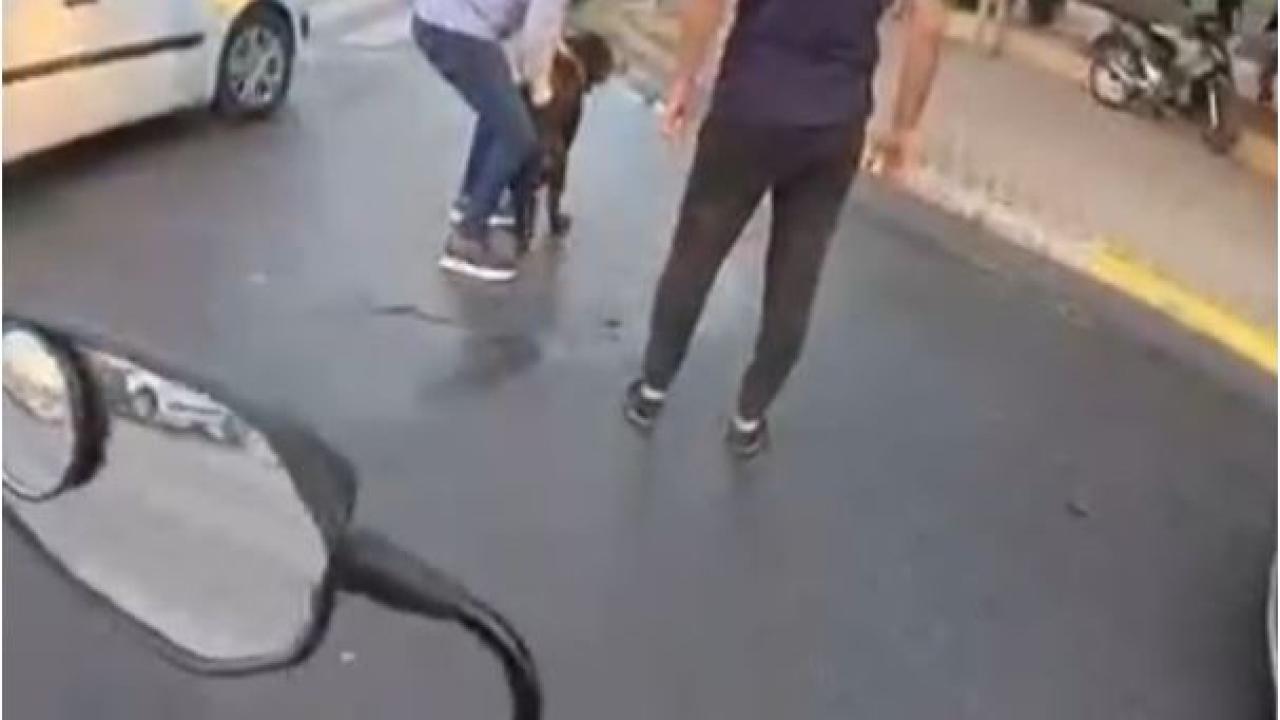 Köpek Dehşeti Sosyal Medyayı Salladı!