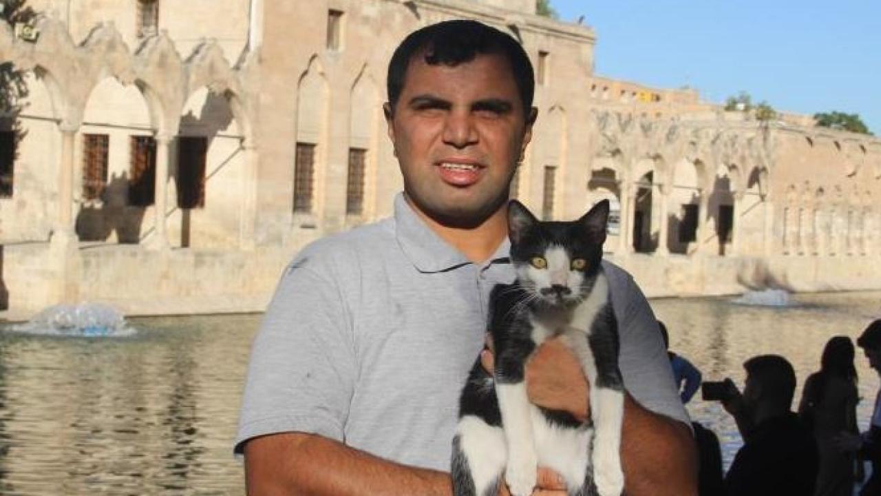 Şanlıurfa 'da Kalp Masajıyla Bir Kedi Hayata Döndü