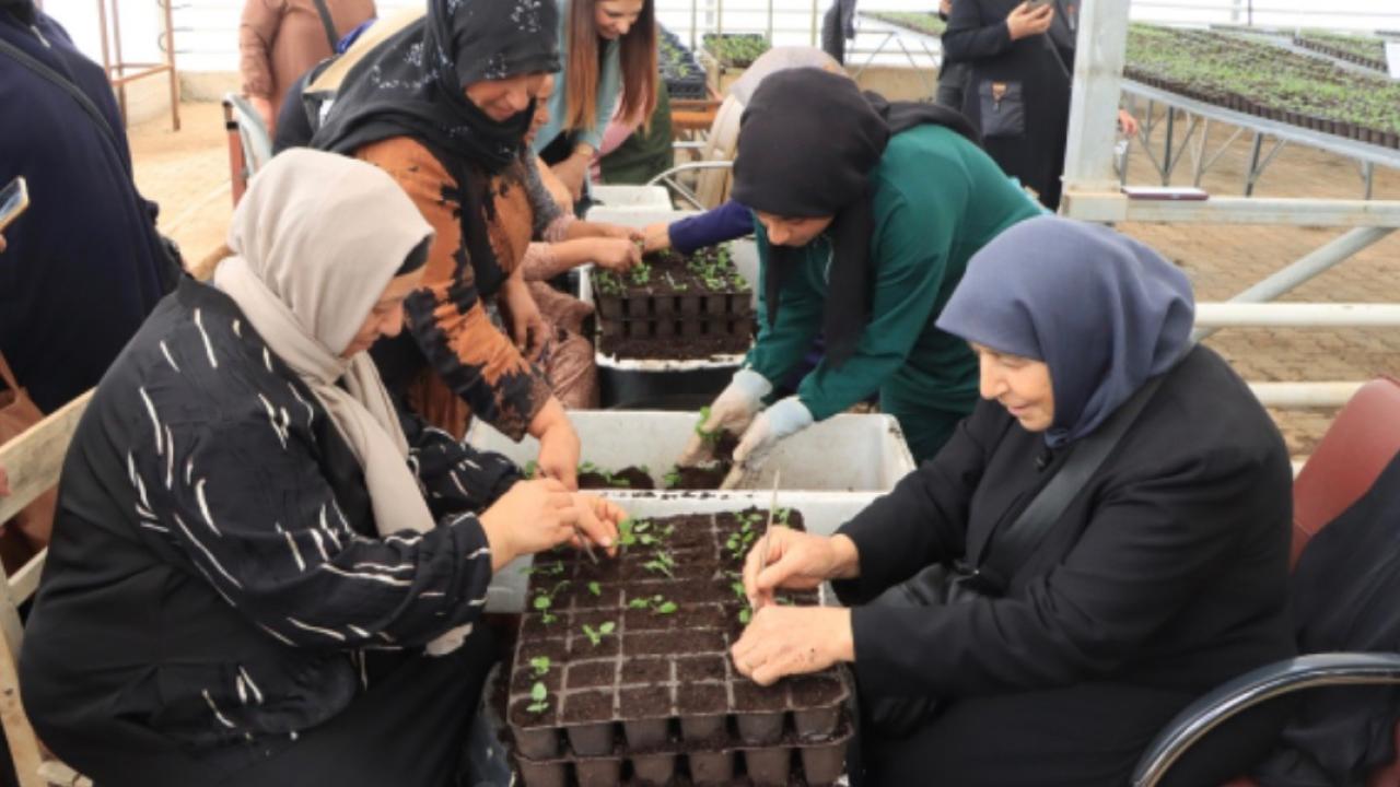 Şanlıurfa’da Emekliler Doğayla Buluştu