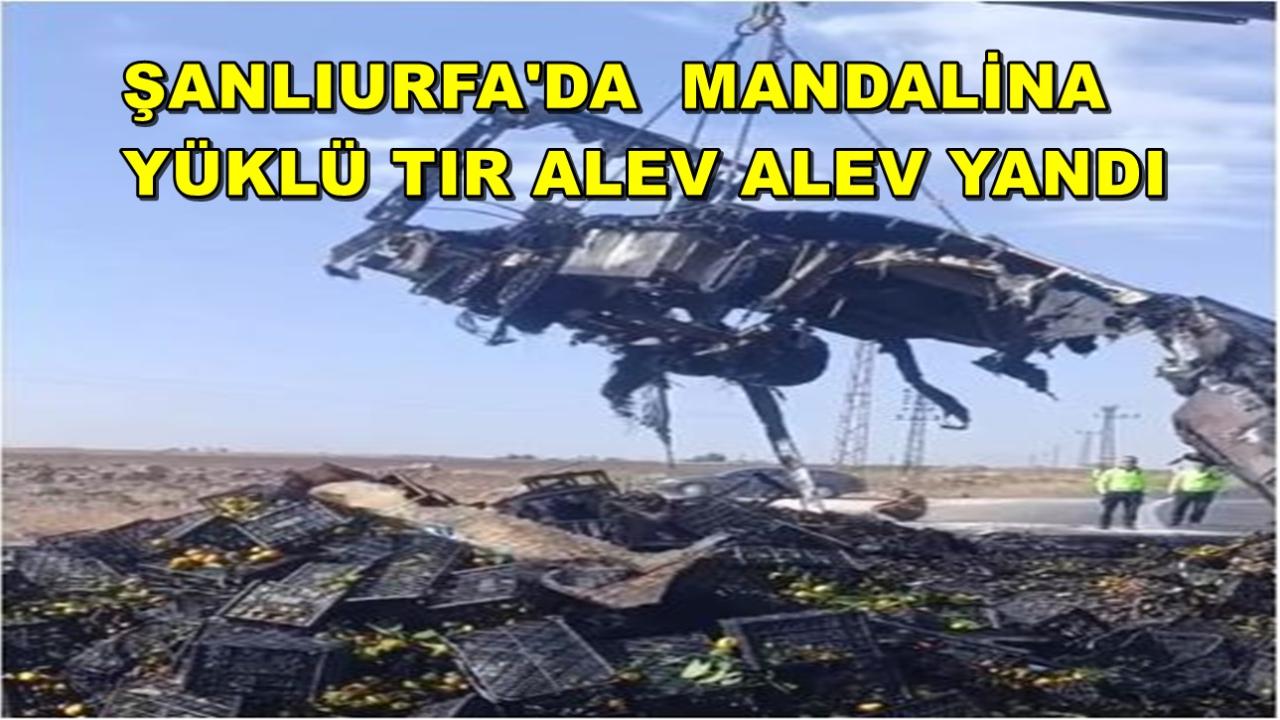 Şanlıurfa'da Mandalina Yüklü Tır Alev Alev Yandı