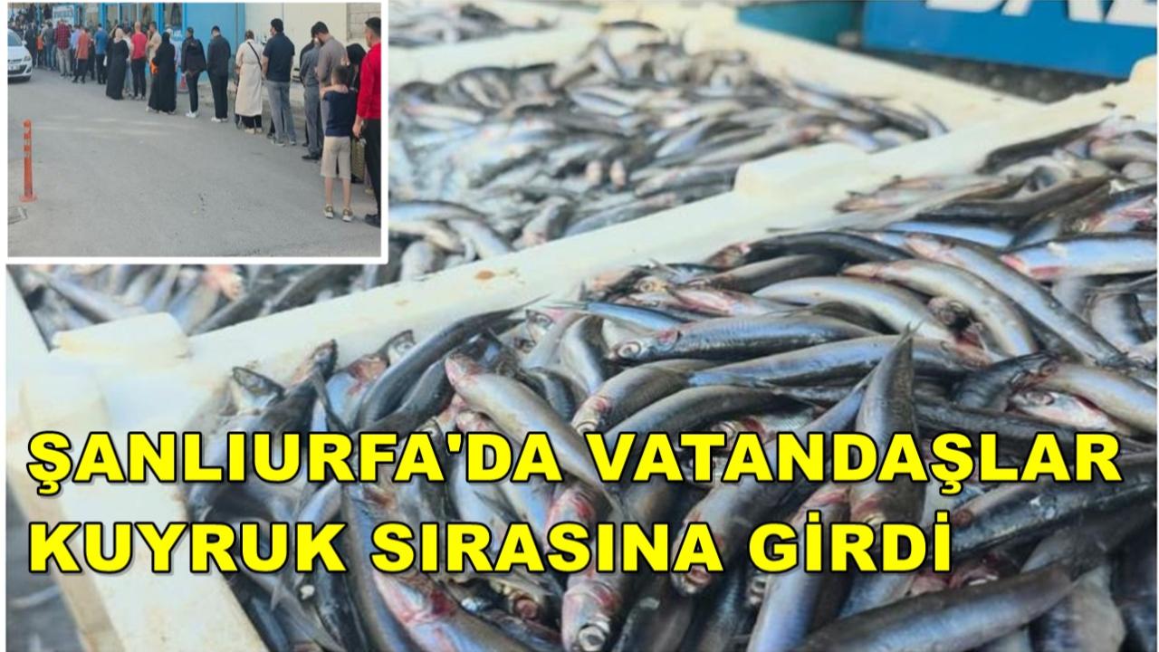 Şanlıurfa'da Vatandaşlar Kuyruk Sırasına Girdi