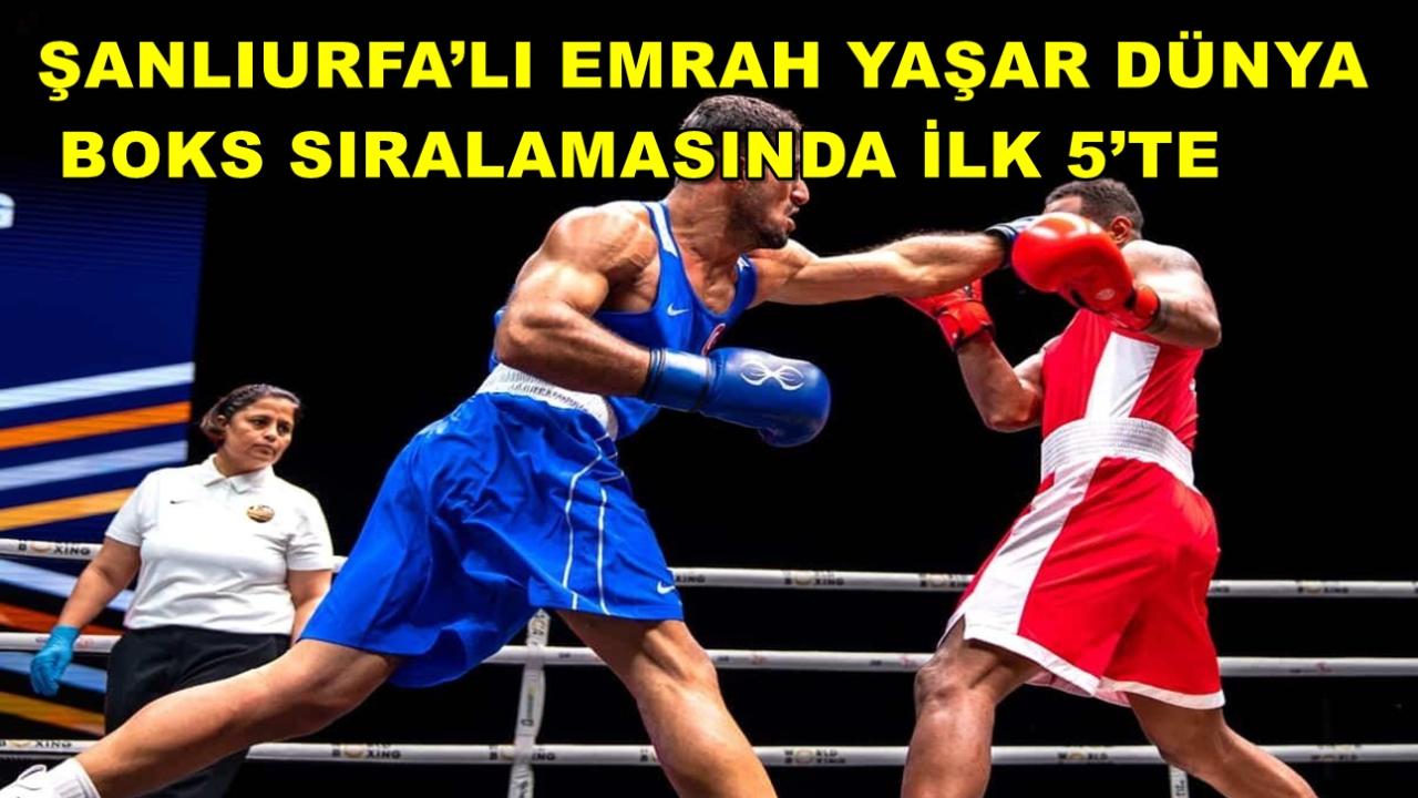 Şanlıurfa’lı Emrah Yaşar Dünya Boks Sıralamasında İlk 5’te
