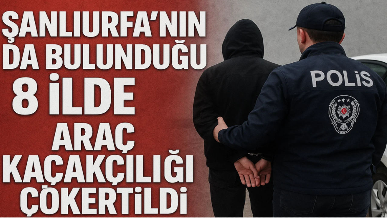 Şanlıurfa’nın Da Bulunduğu 8 İlde Araç Kaçakçılığı Çökertildi