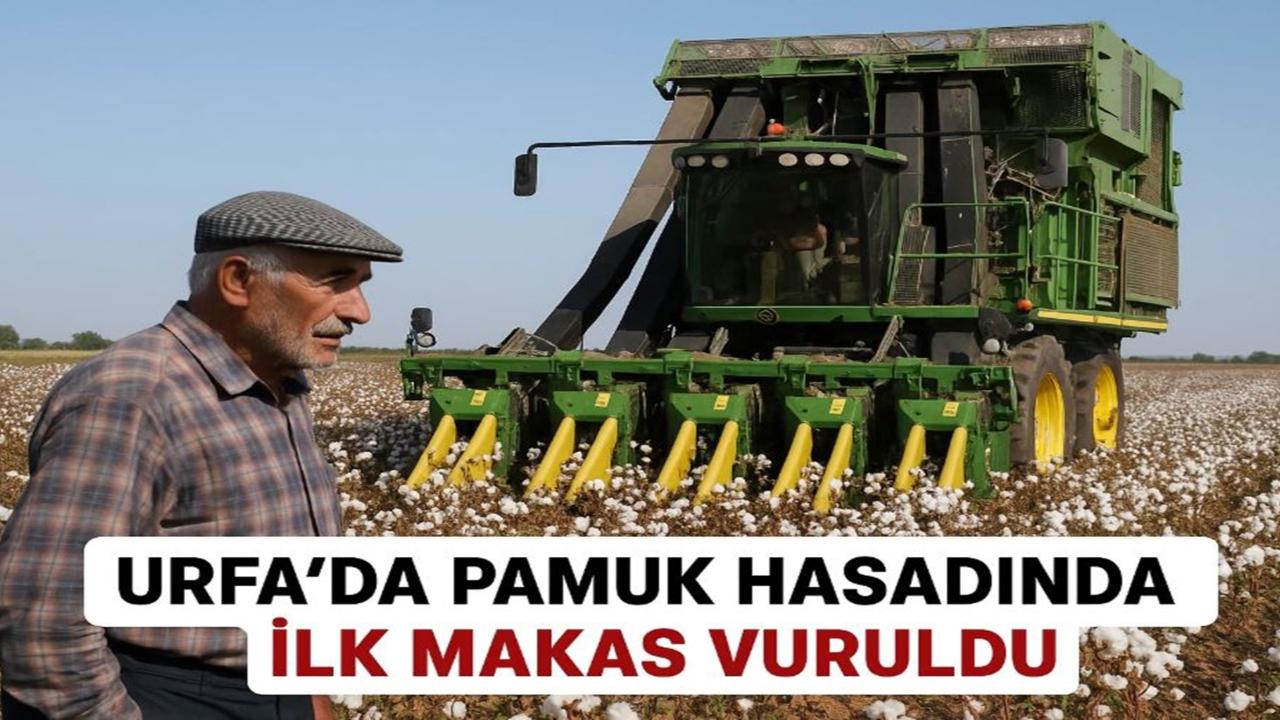 Urfa’da Pamuk Hasadında İlk Makas Vuruldu