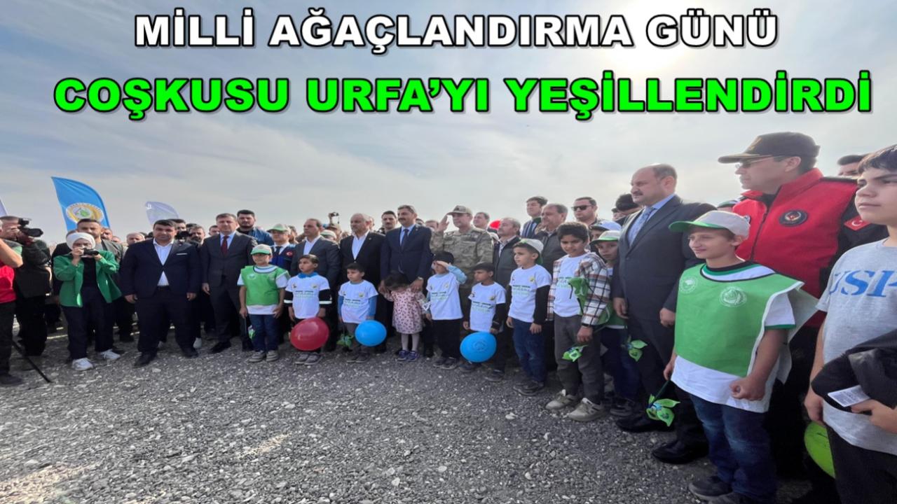 Milli Ağaçlandırma Günü Coşkusu Urfa’yı Yeşillendirdi