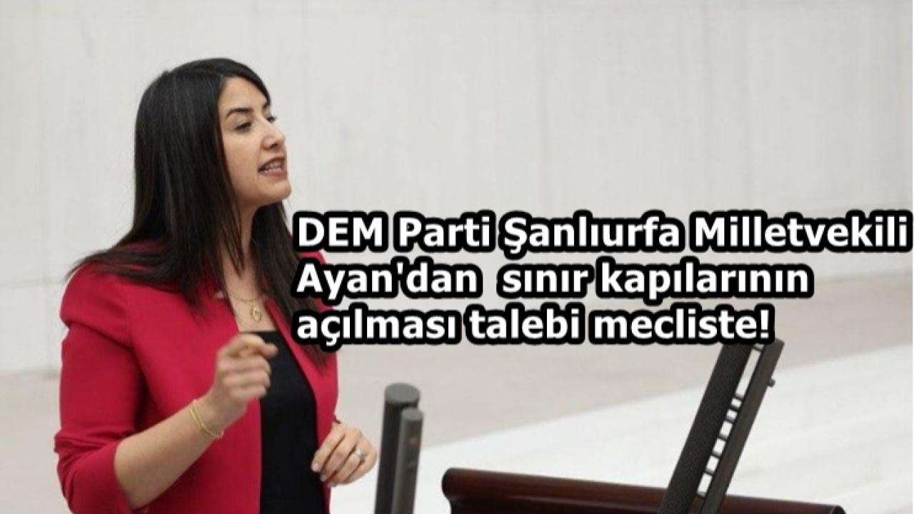 Dilan Kunt Ayan’dan TBMM’ye Sınır Kapıları Araştırması Talebi