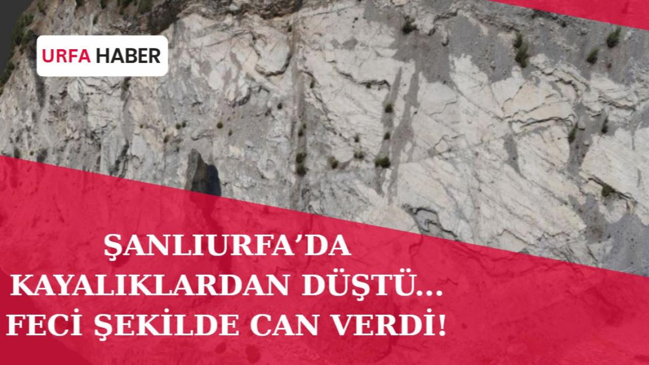 Şanlıurfa'da Kayalıklardan Düştü: Hayatını Kaybetti!