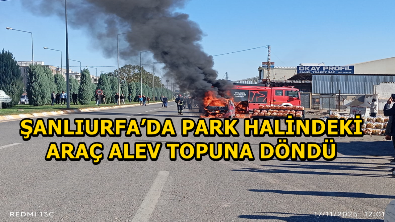 Şanlıurfa’da Park Halindeki Araç Alev Topuna Döndü