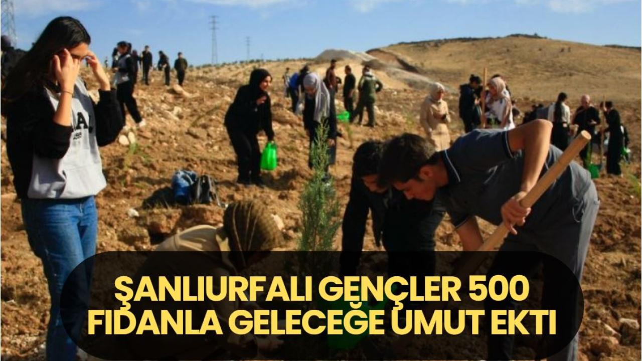 Şanlıurfalı Gençler 500 Fidanla Geleceğe Umut Ekti