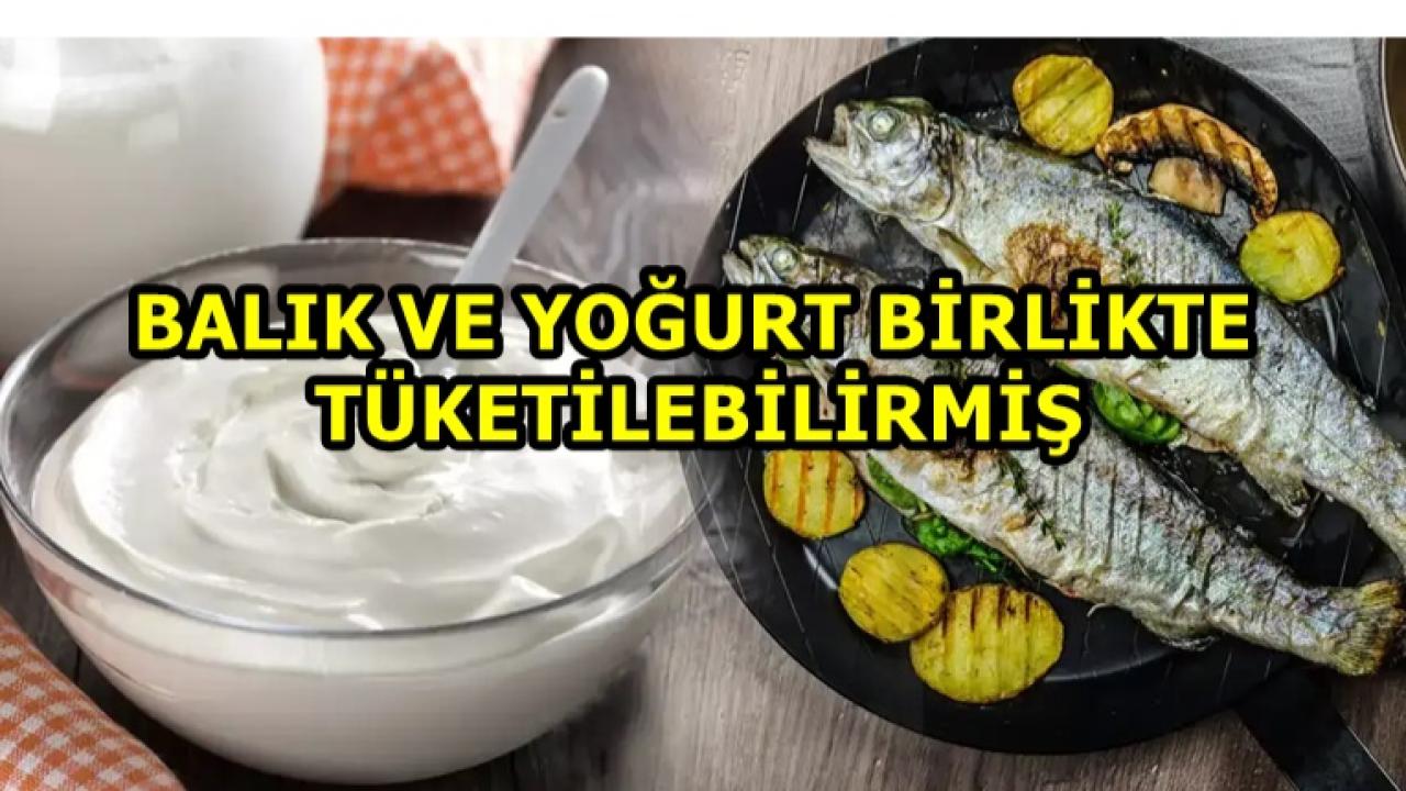 Yalanmış.. Artık Balıkla Yoğurdu Rahatlıkla Yiyebilirsiniz !