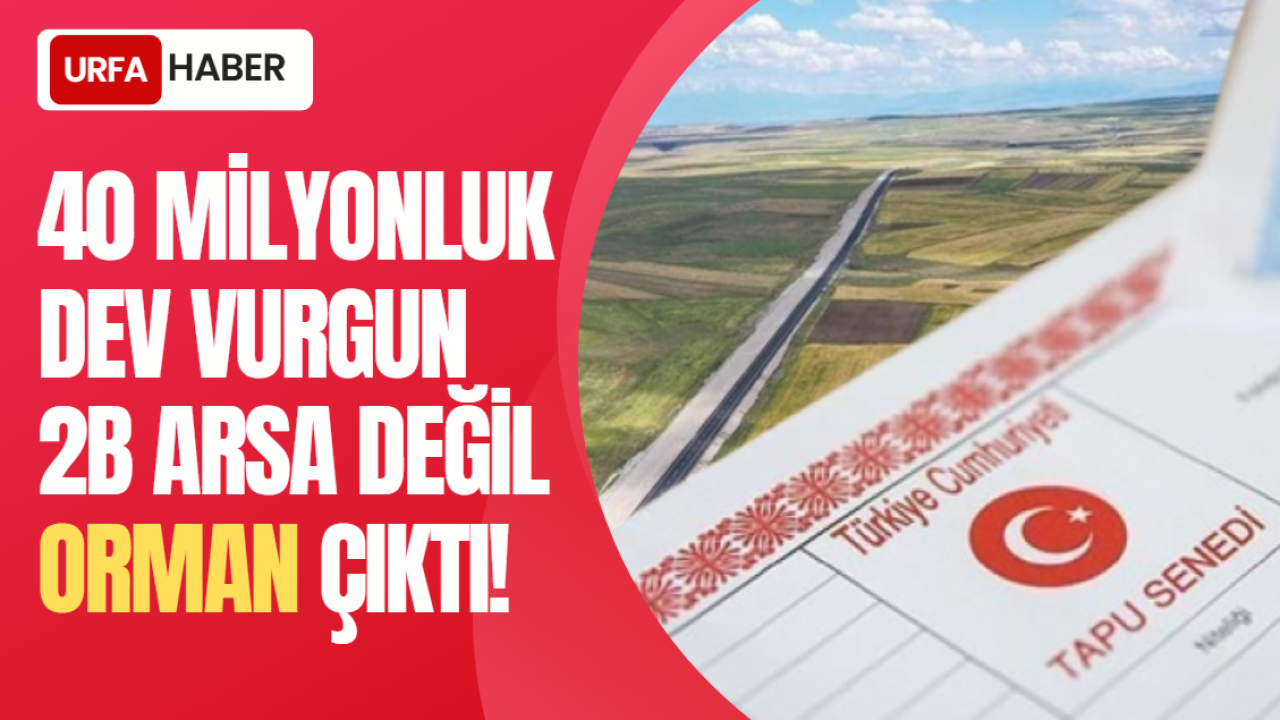 40 Milyonluk Dev Vurgun: 2B Arsa Değil Orman Çıktı!