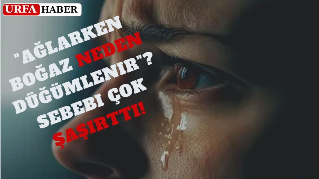 "Ağlarken Boğaz Neden Düğümlenir"?Sebebi Çok Şaşırttı!