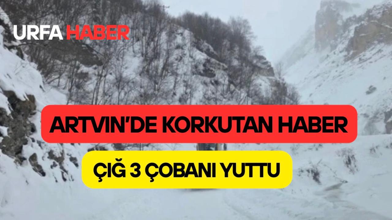 Artvin’de Korkutan Haber: Çığ 3 Çobanı Yuttu