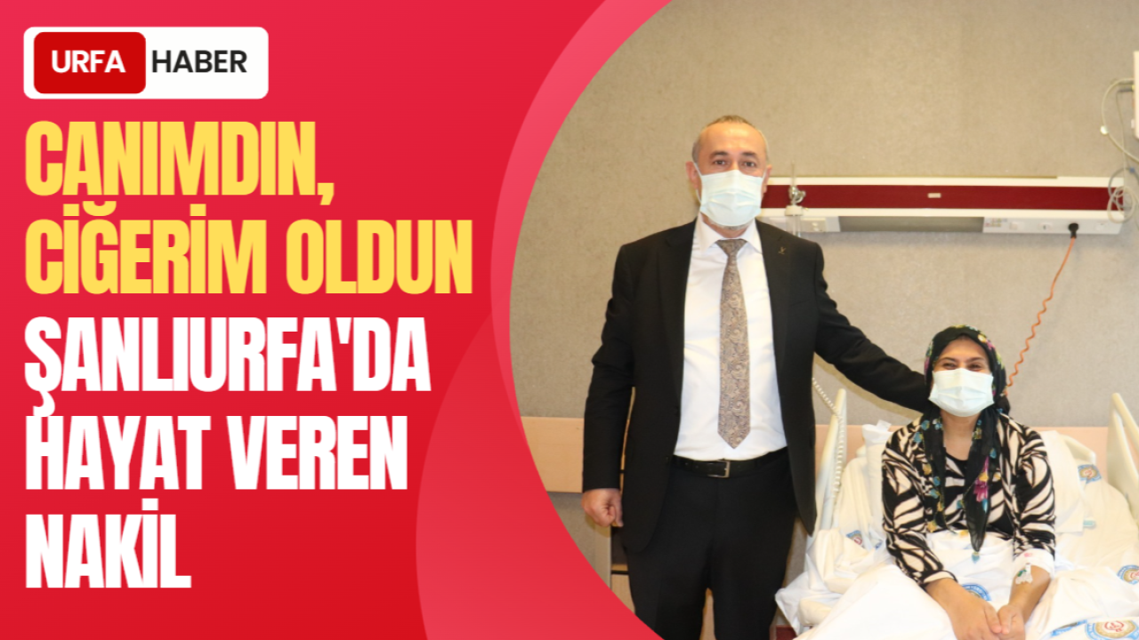 "Canımdın, Ciğerim Oldun": Şanlıurfa'da Hayat Veren Nakil