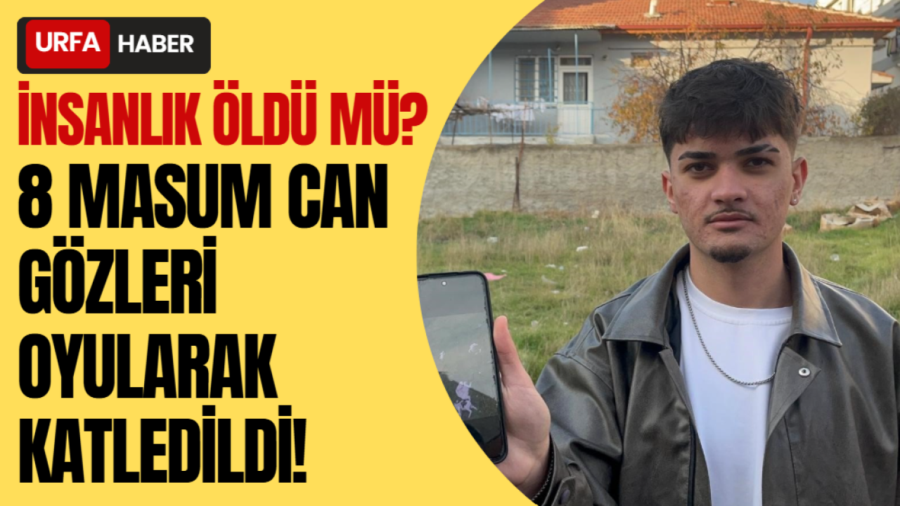 İnsanlık Öldü Mü? 8 Masum Can Gözleri Oyularak Katledildi!