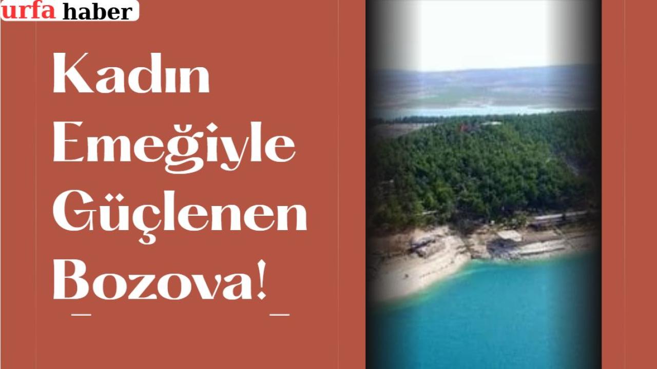 Kadın Emeğiyle Güçlenen Bozova!