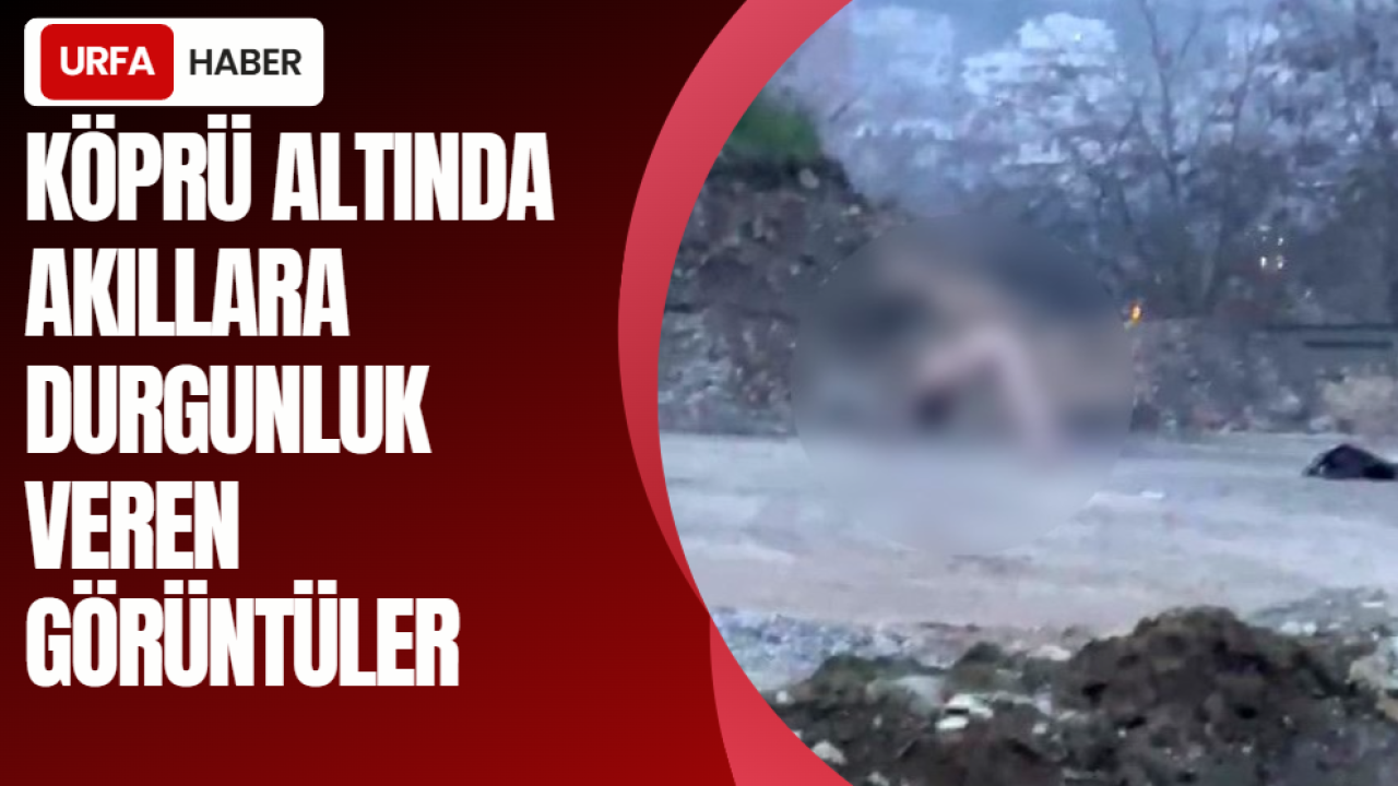 Köprü Altında Akıllara Durgunluk Veren Görüntüler
