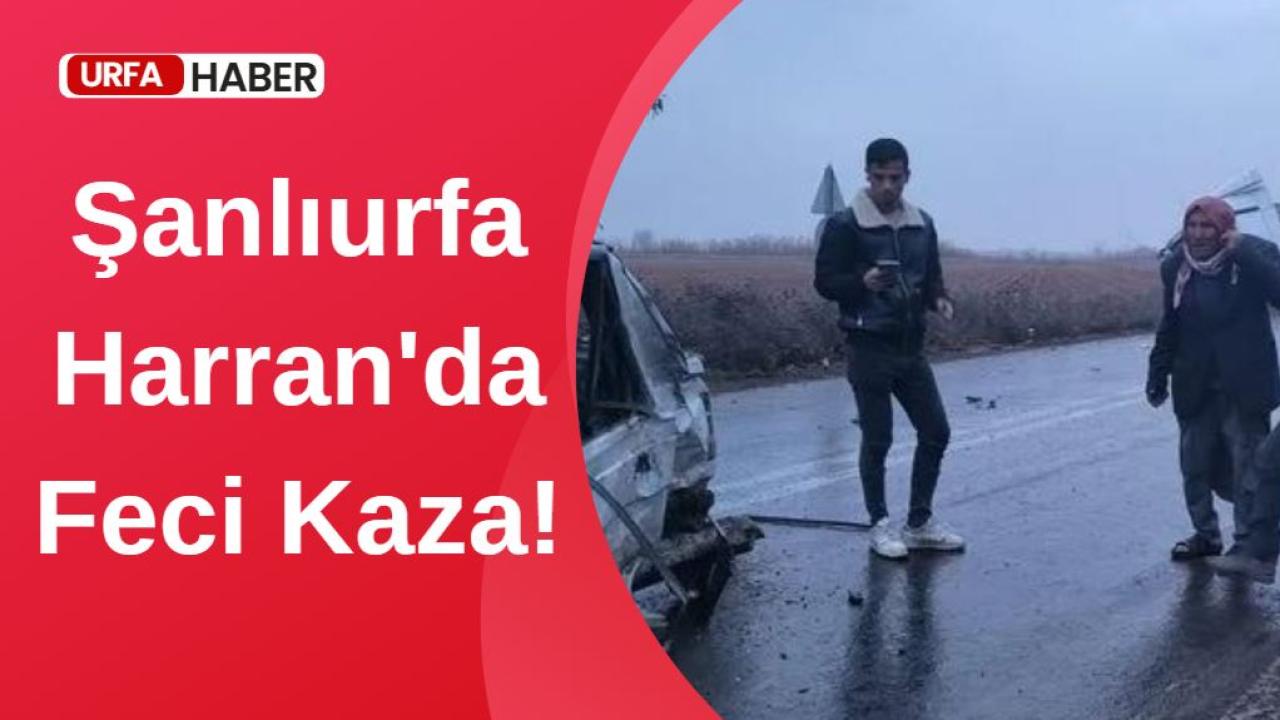 Şanlıurfa Harran'da Feci Kaza: Araç Hurdaya Döndü!