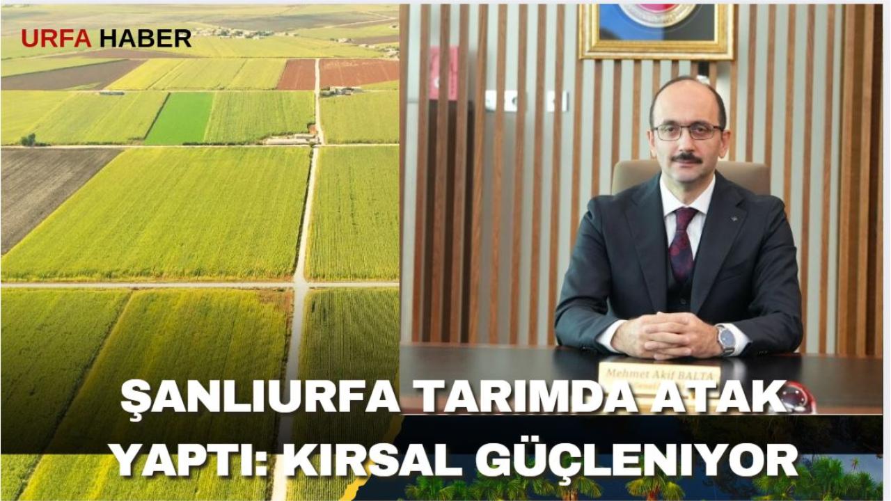 Şanlıurfa Tarımda Atak Yaptı: Kırsal Güçleniyor