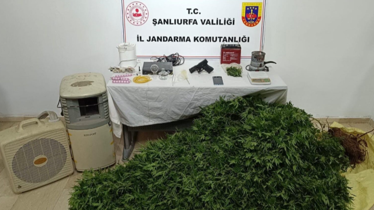 Şanlıurfa’da 20 Şüpheliye Jandarma Operasyonu