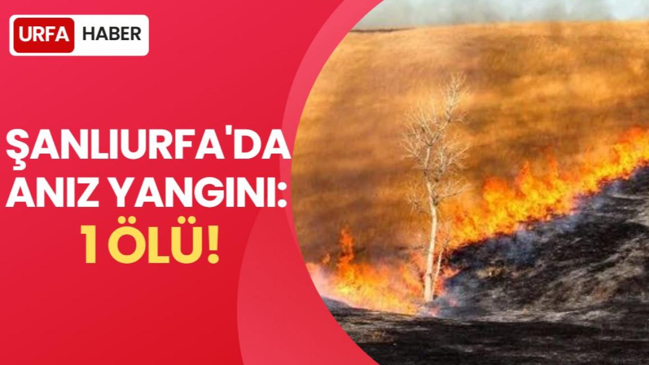 Şanlıurfa'da Anız Yangını: 1 Ölü!
