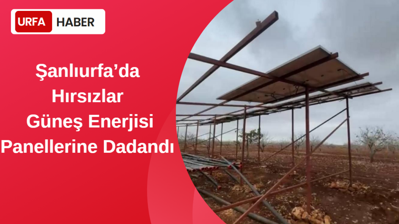 Şanlıurfa’da Hırsızlar Güneş Enerjisi Panellerine Dadandı