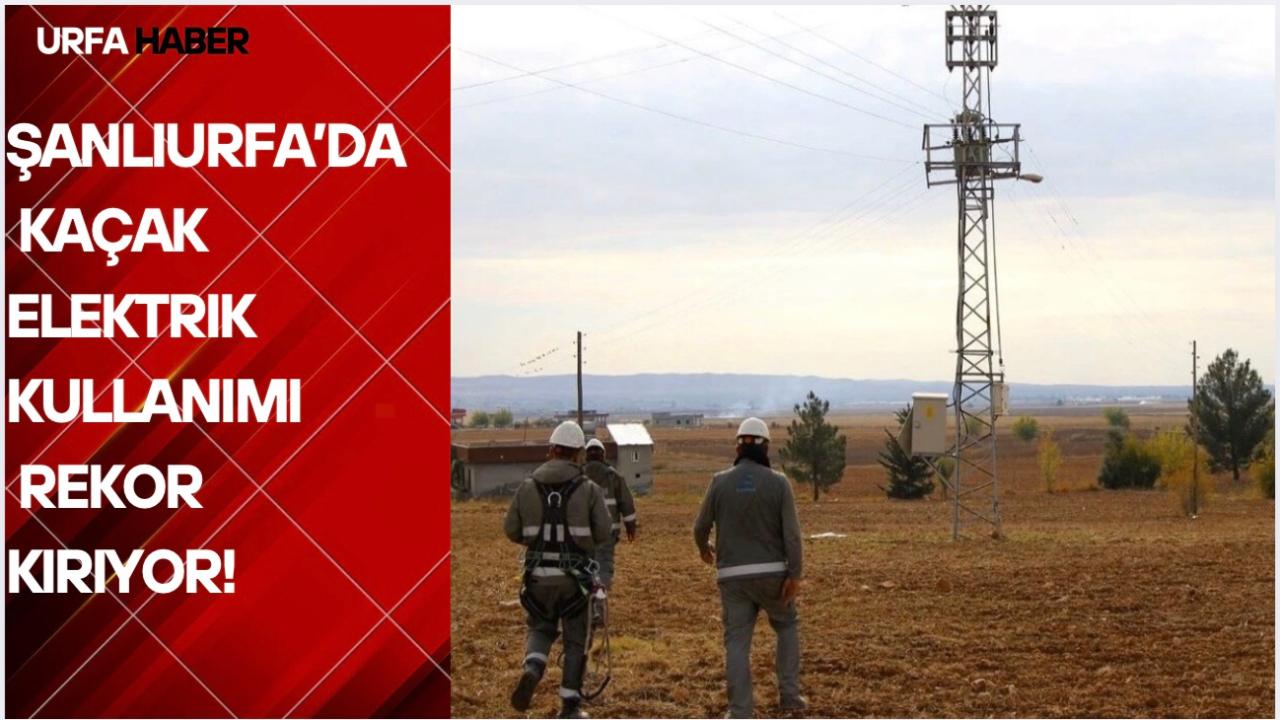 Şanlıurfa’da Kaçak Elektrik Kullanımı Rekor Kırıyor!