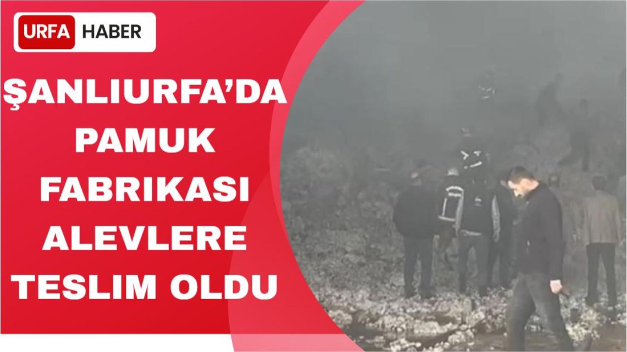 Şanlıurfa’da Pamuk Fabrikası Alevlere Teslim Oldu