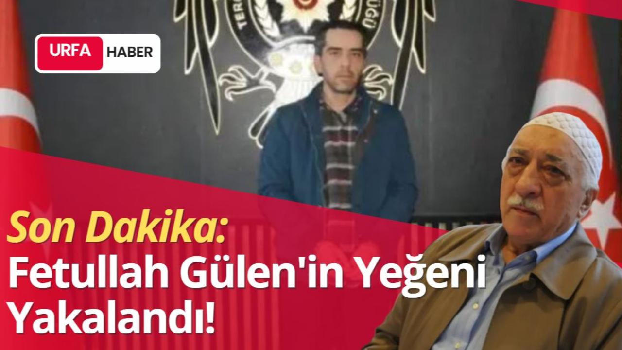 Son Dakika: Fetullah Gülen'in Yeğeni Yakalandı!