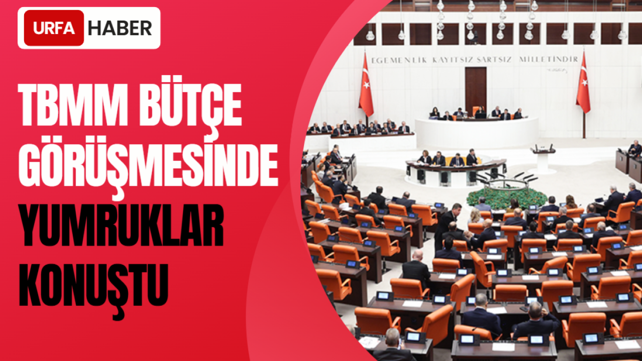 TBMM Bütçe Görüşmesinde Yumruklar Konuştu