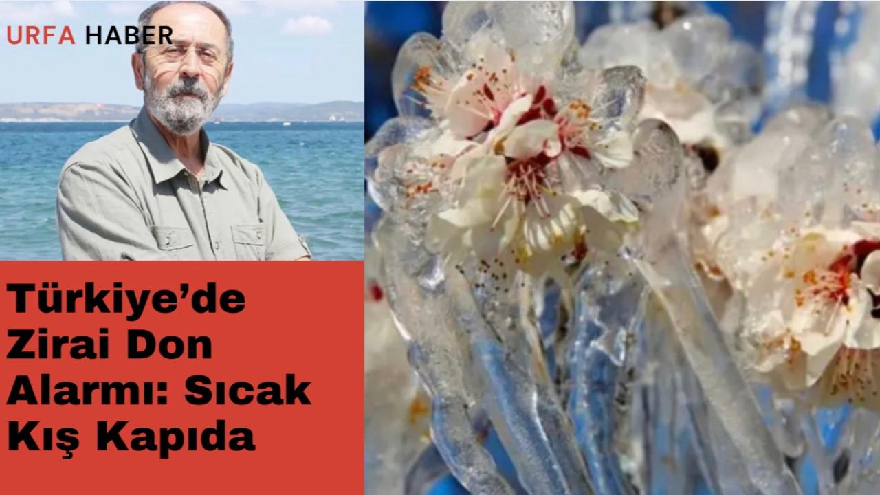 Türkiye’de Zirai Don Alarmı: Sıcak Kış Kapıda
