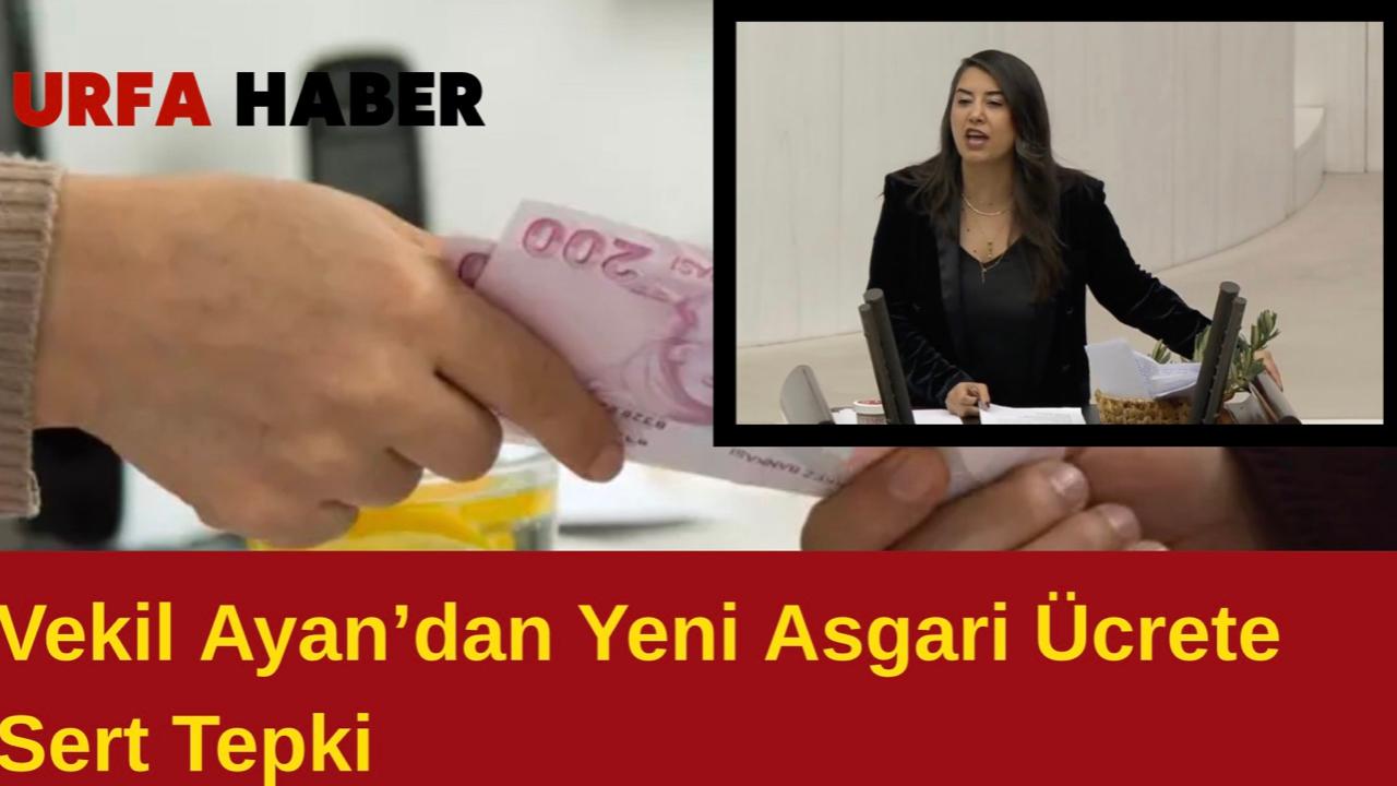Vekil Ayan’dan Yeni Asgari Ücrete Sert Tepki