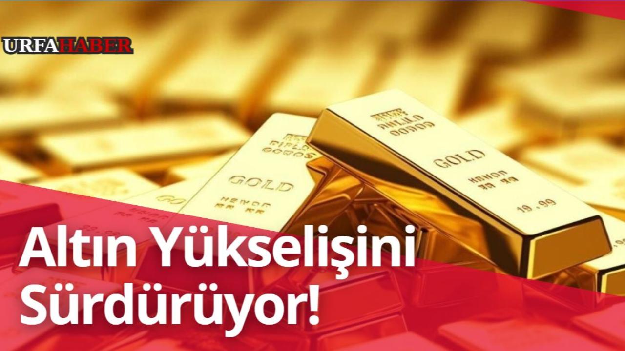 Altın Yükselişini Sürdürüyor!
