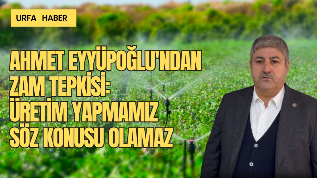 Eyyüpoğlu'ndan Zam Tepkisi: Üretim Yapmamız Söz Konusu Olamaz