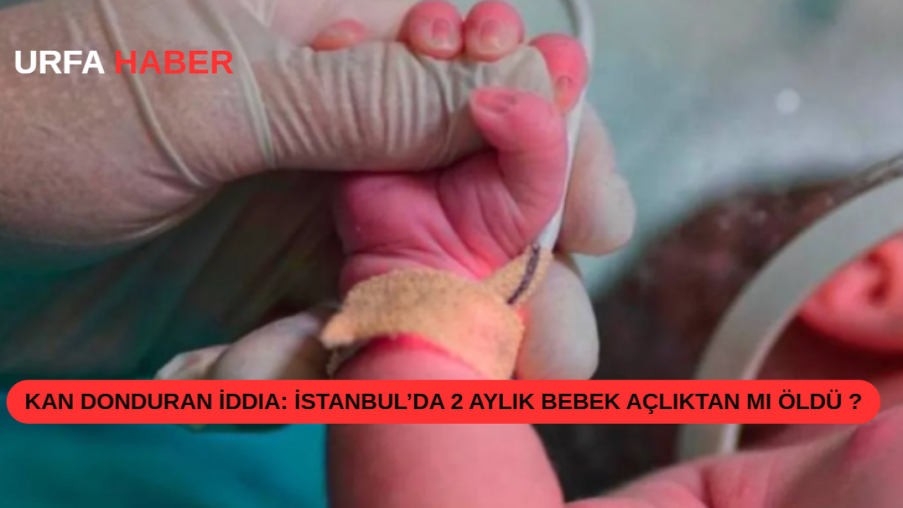 Kan Donduran İddia: İstanbul’da 2 Aylık Bebek Açlıktan Mı Öldü?