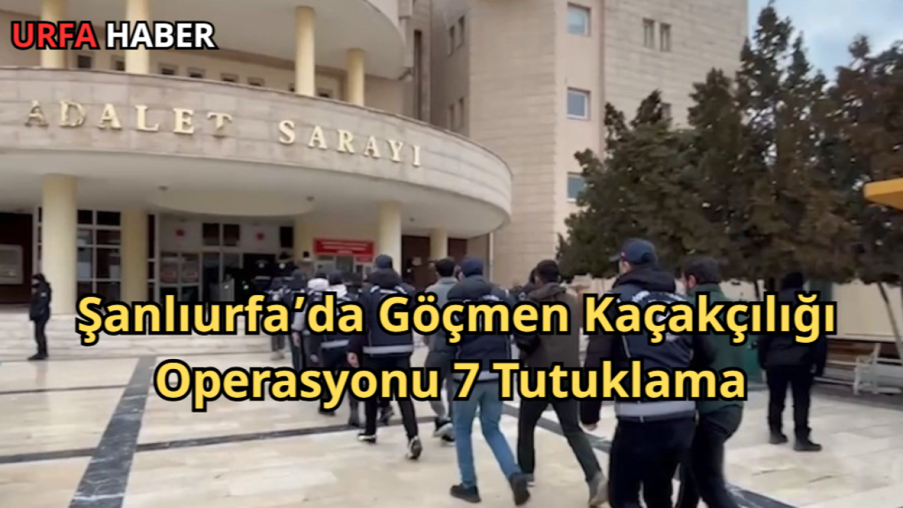 Şanlıurfa’da Göçmen Kaçakçılığı Operasyonu 7 Tutuklama