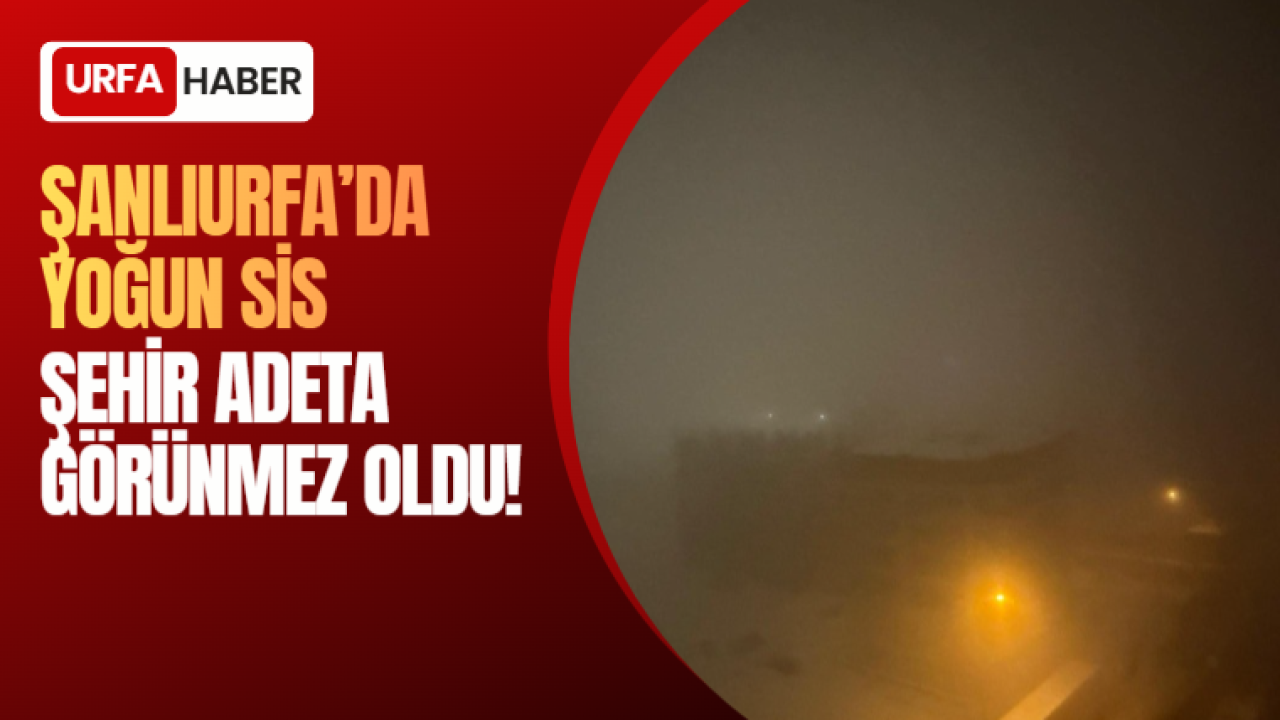 Şanlıurfa’da Yoğun Sis: Şehir Adeta Görünmez Oldu!